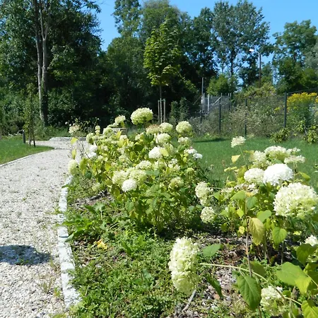 Appartamento Ebelsberger Terrassen *